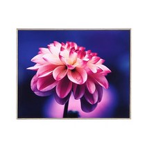 프레임리스 판넬(미송)반품.교환불가, A0(84.1x118.9cm), 기본보정(시안확인)