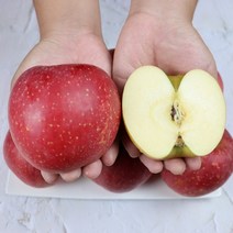 청송사과 부사사과 1박스, 부사 가정용 10kg 랜덤