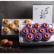 사과배1+1 혼합과일세트, [알뜰] 사과배 1+1 세트
