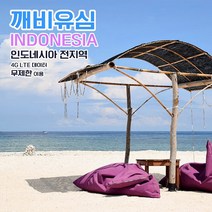 깨비유심 깨비유심 V-tech 인도네시아 4G LTE 무제한 (3050276), 김해공항 수령, 인도네시아 4G LTE 데이터 무제한