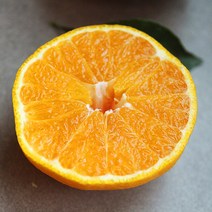 맛군 달콤하고 향긋한 제주 한라봉 제철 제주도, 1box, 가정용 한라봉 5kg(14~25과)