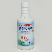 곰팡이 방지제 포함 !! 팡팡 곰팡이제거제 500ml 벽곰팡이제거, 1개