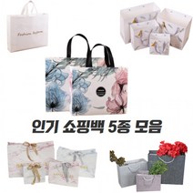 고급 무지 쇼핑백 종이쇼핑 종이 부직포 선물 가방 5종, 종이쇼핑백B형