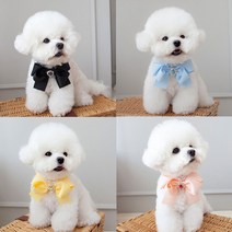 모모스페이스 강아지 명품 리본 목걸이 큐빅 생일 파티 케이프 파티 애견 고양이 생일선물, M, 핑크