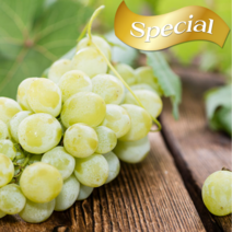 프리미엄 오텀 애플청포도 사과처럼 아삭아삭 애플포도 (아이스박스포장), 1kg