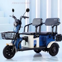 노인전동차 2인승 2인용 전동휠체어 노인전동스쿠터 사용이편리한 장애인전동차 전기삼륜차 효도선물용 3륜 4륜 F, 48V, I.60v20ah 납산 배터리 약 45km