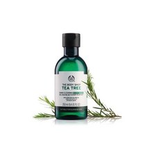 더바디샵 티트리 바디 워시250ML
