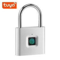 상가도어락 푸시풀 안면인식 스마트 지문 자물쇠 홈 보안 도난 방지 방수 블루투스 원격 제어 배터리 전원 열쇠가없는 잠금, 투야20 핑거실버