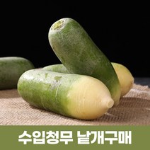수입청무 중국무 청무 낱개(3개)-2023년햇무, 3개