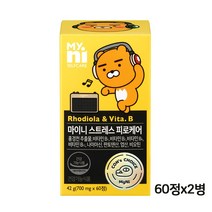 마이니 스트레스 케어 비 홍경천 추출물 로디올라 로사빈 효능 고함량 비타민 B군 B1 B2 B6 B12 비오틴 나이아신 판토텐산 활력 피로회복 릴렉스 영양제 수험생 직장인, 단일상품2, 마이니 스트레스케어비 700mg*60정 (병포장)