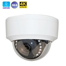 CCTV 실내 돔 동축 오디오 Tvi 카메라 사운드 풀 HD 1080P 5MP Cvi 아날로그 IR 컷 나이트 비전 CCTV 보안, 01 1080P_02 NTSC_02 3.6mm