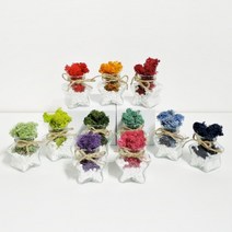 스칸디아모스 공기정화식물 별화분 자갈모스 DIY 만들기키트 (11colors), 라벤더블루
