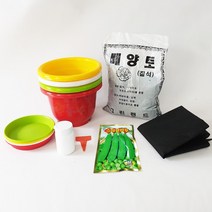 완두콩키우기 7종, 단품