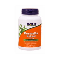 NOW Foods 나우푸드 보스웰리아 250mg 120캡슐 터마신 울금 쿠르쿠마 터메릭 강황, 1개, 120정