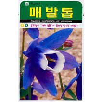 매발톱 꽃씨앗 500립