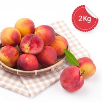 자두는 역쉬 경북 자두 2kg 중 (추희자두), 3kg, 1개