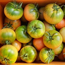 부산 대저 짭짤이 고당도 토마토 2.5kg 손진욱농가 짭짜리 단맛 탐스런 토마토, 소