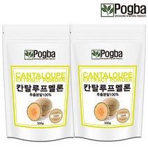 칸탈로프멜론 추출분말 500g x 2팩 칸탈루프멜론, 2개