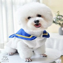 반려견 강아지 마린룩 바다 오리발 오리 뽀글이 옷