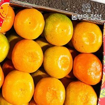 농부의정성 제주 하우스귤 선물용로얄대과 3kg, 없음