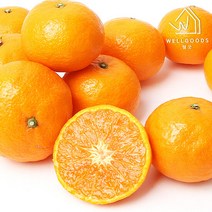 [웰굿] 당도선별 제주 카라향 2.5kg(11-15과 대과 15brix이상), 단품