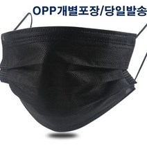 일회용마스크 일회용 덴탈마스크 10매 - 검정(당일발송), 10개