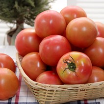 토마토5kg 후회없이 사는법