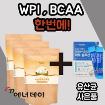 리얼 네달란드 산양유 단백질 프로틴 컴플렉스 복합 뼈 척추 관절 락토 락도 페린 패린 밀크 세라마이드 미셀라 카제인 칼슘 WPI BCAA 남성 여성 성인 할아버지 할머니 부모님, 140gx6봉