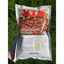 땅콩종자 500g 한국산 정품종자, 1개
