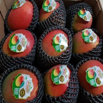 프리미엄 애플망고 태국 골드망고 선물세트 특대, 04)골드망고 5kg, 1개