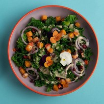 미국직구 메디 요리 타히니(88.18온스) - 에브리 네츄럴 100% 구운 휴메라 단일 원산지 참깨 페이스트 - 비건 글루텐 프리 땅콩 프리 견과류 프리 빈 프리(1PACK), 상세참조, 수량