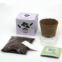 홈가드닝 집에서 상추 당근 야채키우기 모종세트 식물 원예용품 화분재배 채소