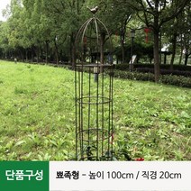 넝쿨 식물 지지대 오벨리스크 장미 시렁 지주대 [오디가 ODIGA], 갈색(Brown), 단품구성(뾰족형)