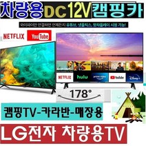 LG 32인치 (DC12V) 야외용 캠핑용TV 차량용 차박 WB580B 카라반 저전력 스마트동글 LG전자 LED, 32TV단품 (220V 전원사용)