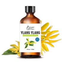 닥터월드 대용량 천연 에센셜 오일 118ml 21종 아로마 테라피 마사지 디퓨저 비누 만들기, 뷰티 일랑일랑 천연 에센셜오일 118ml