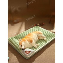 큰개집 야외개집 애견하우스 대형개집 강아지펜스 대형견집 견사 야외강야지집, 특대3XL-60캐티, [간식세트]그린래빗벨벳패드+치킨몰스틱