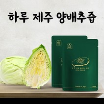 하루제주 고깔 양배추즙 80ml 30개입 저온착즙 양배추생즙 100% 과채주스, 하루제주 양배추즙 30개입