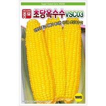 A-초당옥수수-vsc03 100립 곡물씨앗