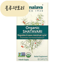 (믿고보는 블루팩토리) 히말라야 샤타바리 3600 mg 60정 품절시 대체상품 추천, 1개, 60개