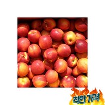 천도 4.5kg내외(45과내외), 천도 복숭아 4.5kg내외(45과내외)