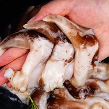 농가살리기 여수 새조개 자연산 손질 당일조업 500g, 여수 자연산 손질 새조개 500g