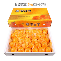 제주 황금향 선물세트 5kg (중과) 28-30과 / 하우스 노지 고당도 귤 감귤 밀감 레드향 천혜향 카라향 청귤 수라향 신비향 가정용 추석 명절 설 감사 은사 선물 조생 타이벡, 5kg (특대) 19-23과