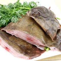 [천삼백케이] [청정태안] 청정태안 자연산 봄도다리 1kg(2-3미내외), 단품