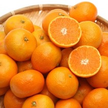 제주도 하우스귤 5kg(대과) 당도선별 노지 타이백 감귤