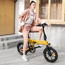Himo z16 접이식 여성용 남성용 전기자전거 리튬 배터리 36v250w 후륜 구동 모터, Gray