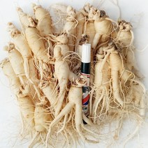 [GAP 취득 농부의 인삼] 인삼 수삼 6-5년근 난발 파삼 세척 삼계탕 선물 산지직송 홍삼액 정성가득, 세척함, 3.잔난발(710g)-22뿌리내외