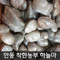 23년 햇하늘마 열매마 10키로 중대크기 (일주일간 할인합니다)