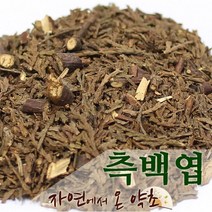 측백엽 한국산 300g