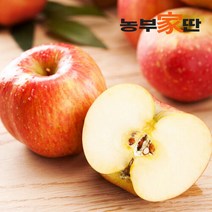 [농부가딴]경북청송 꿀사과 10KG B급 가정용 사과, 단품