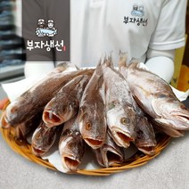 부산송도해수욕장서핑 추천 TOP 90